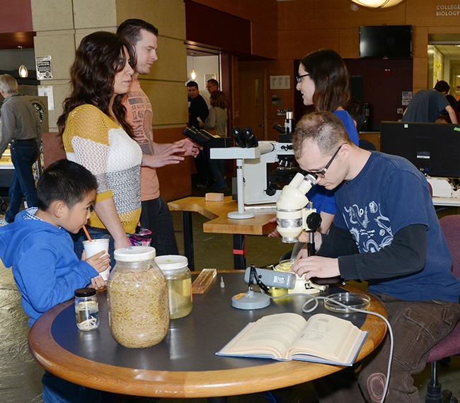 Nematologists Corwin Parker (at microscope) and Lauren Camp (back of him) participated in the 2016 UC Davis Museum Diversity Day. Camp, who received her doctorate in entomology in December from UC Davis, is organizing a display for the Bohart Museum of Entomology open house on Jan. 22. (Photo by Kathy Keatley Garvey)