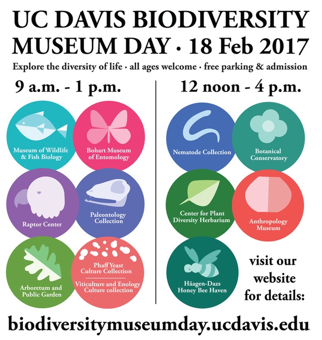 Collections open during the UC Davis Biodiversity Museum Day.