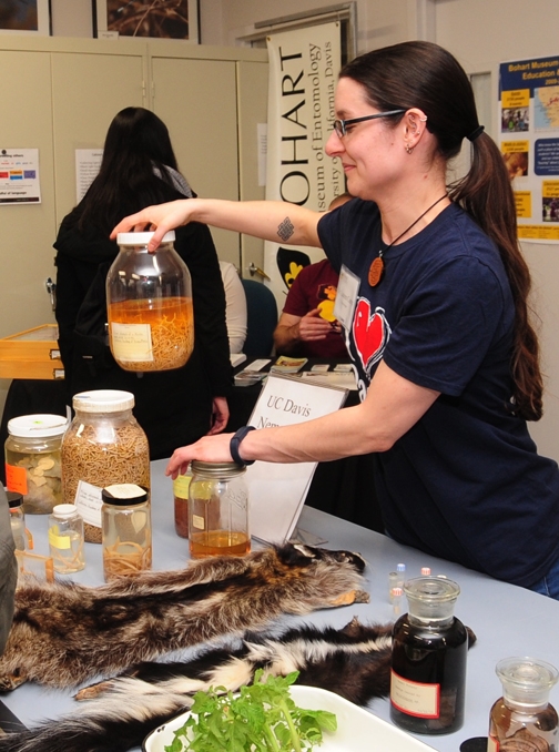 Lauren Camp holds up a jar of nematode specimens from a whale stomach. (Photo by Kathy Keatley Garvey)