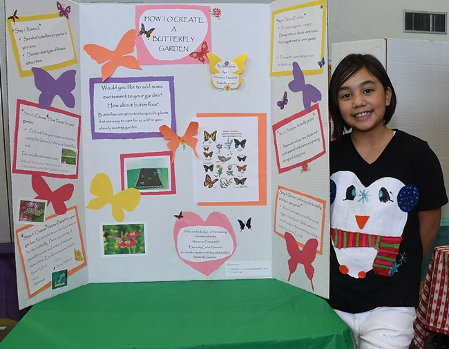 Selah Deuz  8, of the Sherwood Forest 4-H Club, Vallejo, stands by her butterfly display board at the Solano County 4-H Project Skills Day. (Photo by Kathy Keatley Garvey)