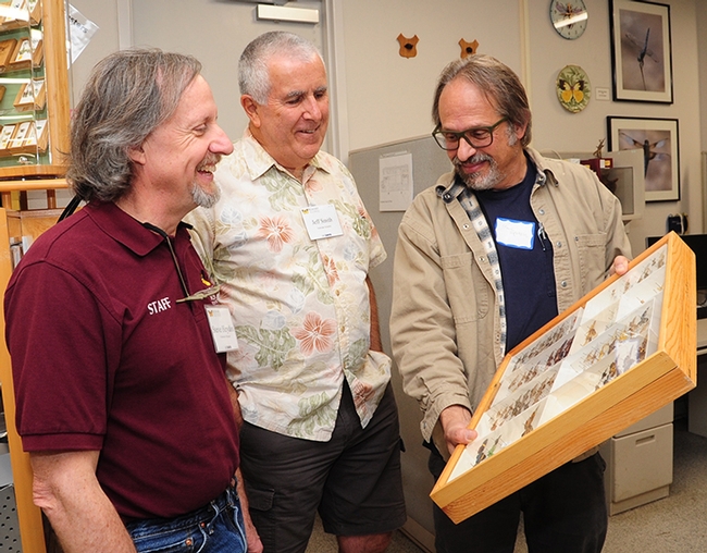 Conferring are Steve Heydon, senior museum scientist at the Bohart Museum, Jeff Smith,curator of the Bohart's butterfly and moth specimens, and Marc Epstein, senior biosystematist for the California Department of Food and Agriculture. (Photo by Kathy Keatley Garvey)
