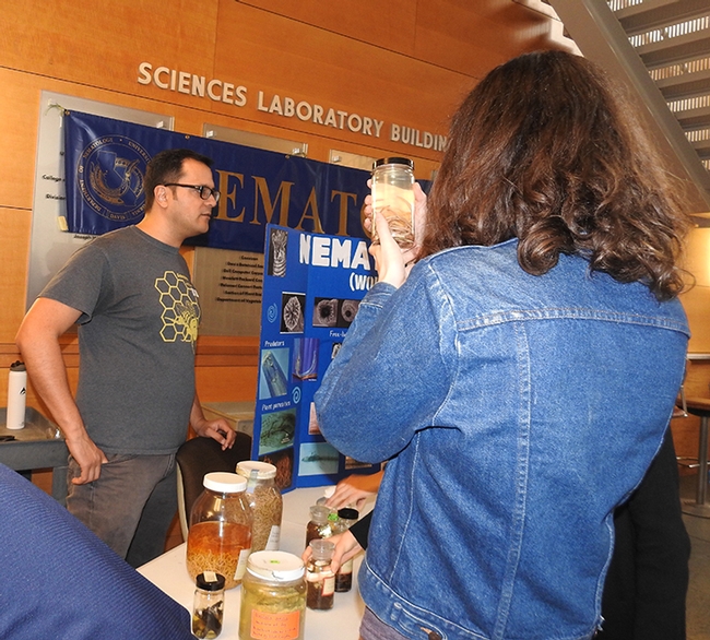 UC Davis nematology graduate student Chris Pagan talks to visitors at the nematode collection in the Sciences Lab Building. (Photo by Kathy Keatley Garvey)