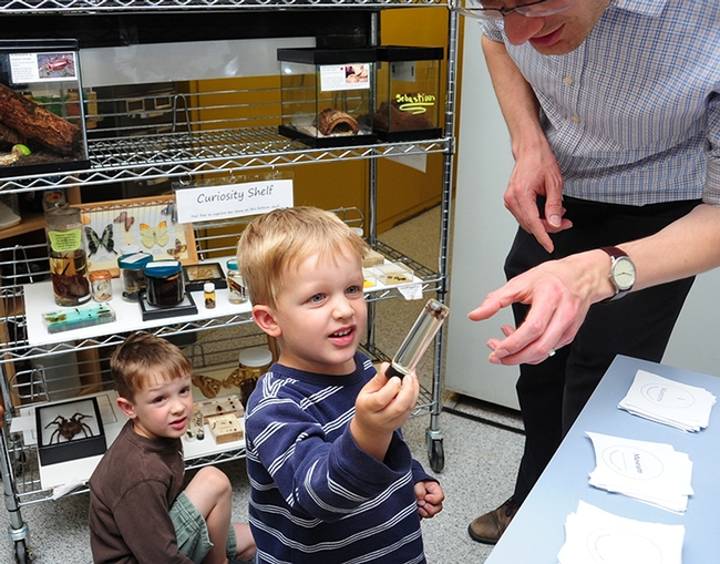 Joshua Trombly, 4, eagerly asks for insect identification at the Bohart Museum of Entomology. In back is his brother Daniel, 5. (Photo by Kathy Keatley Garvey)