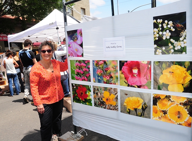California Honey Festival coordinator Amina Harris, director of the UC Davis Honey and Pollination Center, stands by a display of bee photos by Kathy Keatley Garvey of UC Davis Department of Entomology and Nematology.