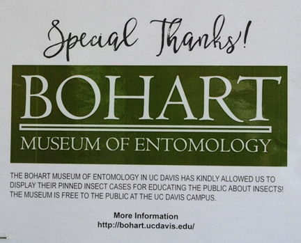 Thank you, Bohart Museum of Entomology