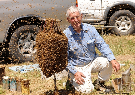 Bee Man' Norm Gary Featured at WAS Conference at UC Davis - Bug Squad - ANR  Blogs