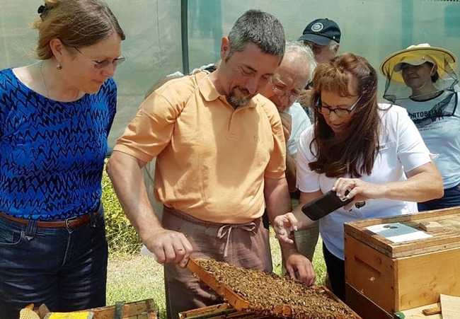 WSU bee breeder-geneticist Susan Cobey (far left) and California commercial queen bee breeder Jackie Park-Burris watch as Manuele Cantoni, Italian queen breeder, opens a hive. This photo was taken last summer in Bologna, Italy.