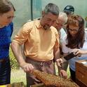 WSU bee breeder-geneticist Susan Cobey (far left) and California commercial queen bee breeder Jackie Park-Burris watch as Manuele Cantoni, Italian queen breeder, opens a hive. This photo was taken last summer in Bologna, Italy.