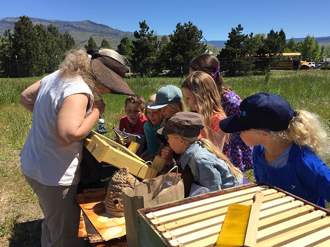 Youngsters are awed by the bee display, part of Bee Girl Sarah Red-Laird's activities. This is a photo from a southern Oregon program. (Photo courtesy of Sarah Red-Laird)