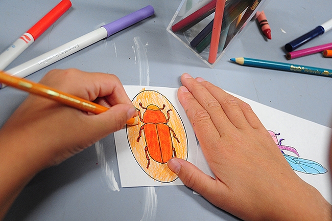 Bark beetle art in the making--this is the work of Natalie Seybold of Davis. She is coloring  an outline of a Dendroctonus sp. bark beetle, probably the red turpentine beetle, Dendroctonus valens, or the great spruce beetle, Dendroctonus micans.  (Photo by Kathy Keatley Garvey)