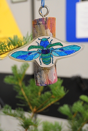 A colorful bark beetle decoration adorns 