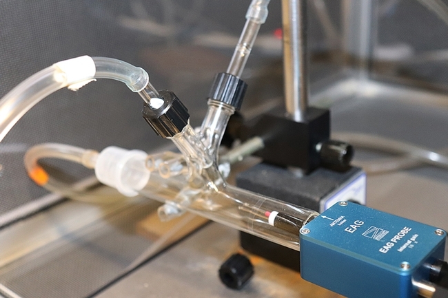 This is the electroantennogram (EAG) assay set-up. (Photo by Bryan Smith, USDA-ARS)