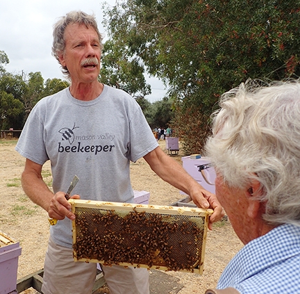Beekeeper-scientist Randy Oliver shows bees to the group. Ettamarie Peterson is in the foreground. (Photo by Kathy Keatley Garvey)