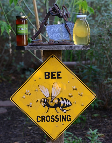 Bee Crossing (Photo by Kathy Keatley Garvey)