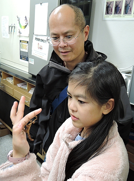 Lynn Chang of Redwood City watches his daughter. Joy, handle a stick insect. (Photo by Kathy Keatley Garvey)