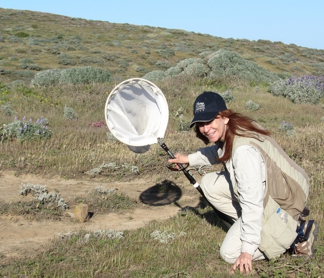Leslie Saul-Gershenz, who received her doctorate in entomology from UC Davis in May 2017 and is the co-founder of SaveNature.Org, has a moth species named for her: Ethmia lesliesaulae.