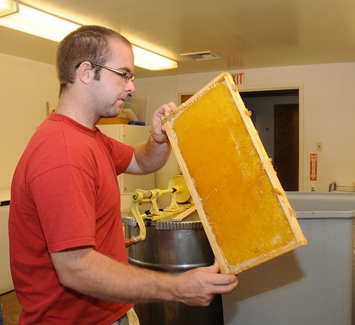 SHOW ME THE HONEY--UC Davis student Bryce Sullivan holds a frame of honey ready to be extracted at the Harry H. Laidlaw Jr. Honey Bee Research Facility. (Photo by Kathy Keatley Garvey)