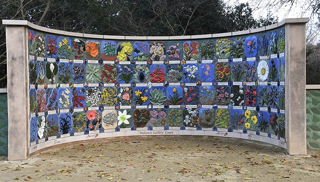 This is Nature's Gallery, a UC Davis Art/Science Fusion Program project installed in 2012 in the Ruth Storer Gardens, UC Davis Arboretum, off Garrod Drive. (Photo by Kathy Keatley Garvey)