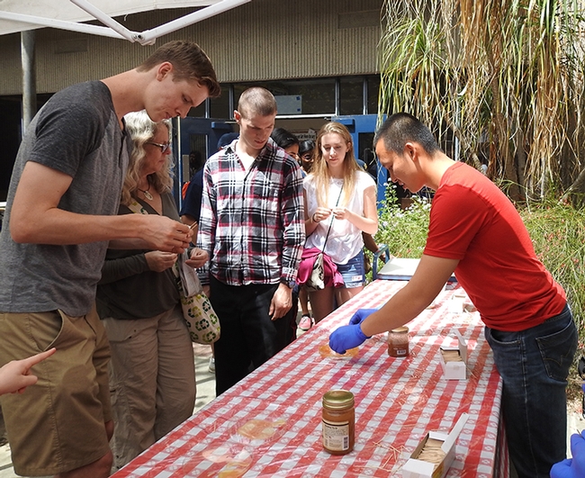 Entomology graduate student Yao Cai (right) of the Joanna Chiu lab helped  staff the honey tasting table at Briggs Hall during the 2017 UC Davis Picnic Day. (Photo by Kathy Keatley Garvey)