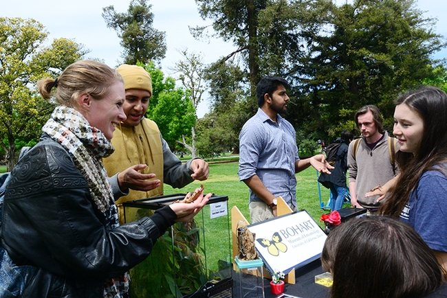 UC Davis student Melissa Mongan (far left) who is majoring in community and regional development, checks out a walking stick. In back are Diego Rivera (center) and Lohit Garikipati. (Photo by Kathy Keatley Garvey)