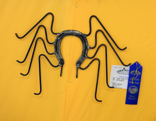 Jake Vinum, 15, of Vacaville, won a blue ribbon for his wall hanging, titled 