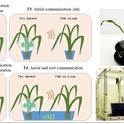 An illustration of plant-plant communication by the Christian Nansen lab, in the Plant Methods journal