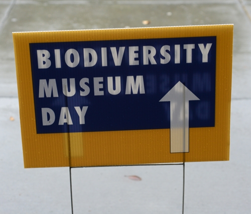 UC Davis Biodiversity Museum Day sign. (Photo by Kathy Keatley Garvey)
