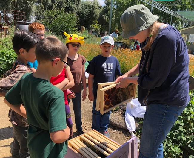 Postdoctoral scholar Laura Brutscher of the Elina Lastro Niño lab at UC Davis talks about who lives in the hive. (Photo by Kathy Keatley Garvey)