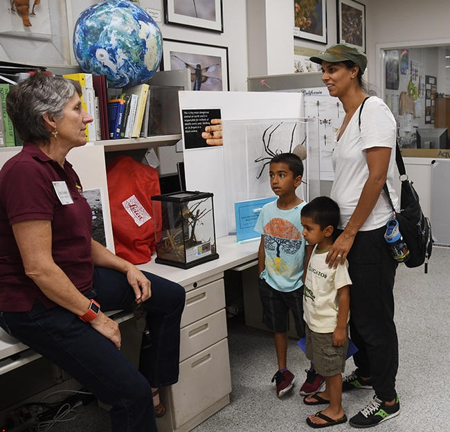 Folsom residents Ravi Kahlon and her sons Rohan Jagadeesan, 6, and Raja Jagadeesan,3, discuss extreme insects with Lynn Kimsey, director of the Bohart Museum. Ravi Kahlon is a 2001 graduate of UC Davis, majoring in philosophy.