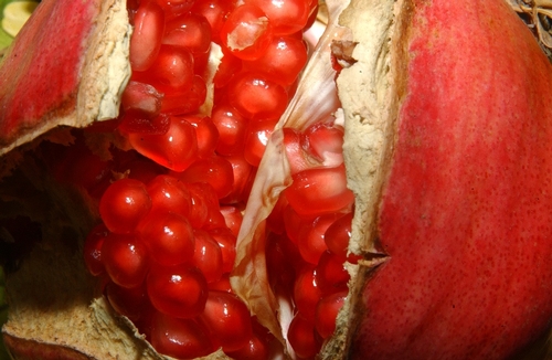 CLOSE-UP of the pomegranate kernels. (Photo by Kathy Keatley Garvey)