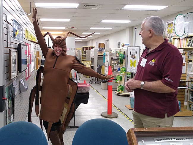 Karey Windbiel-Rojas' cockroach costume proved a crowd pleaser at the Bohart Museum of Entomology open house. Here entomologist Jeff Smith, who curates the butterflies and moths at the Bohart, gives his approval. Windbiel-Rojas, with the UC Statewide Integrated Pest Management Program (UC IPM) is the associate director for Urban and Community IPM. (Photo by Tabatha Yang)
