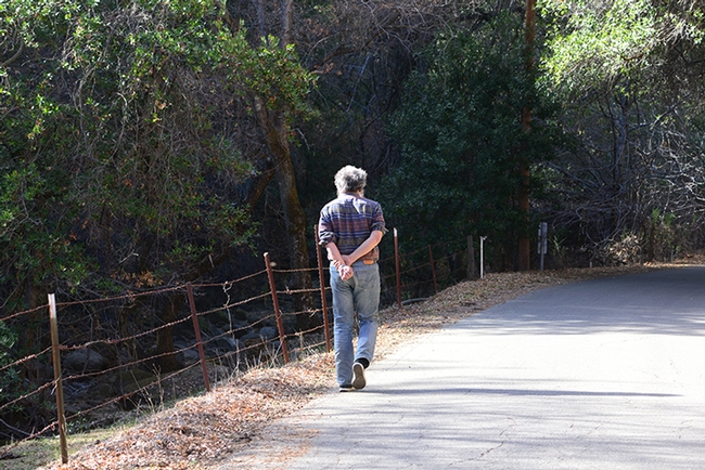 Art Shapiro, distinguished professor of evolution and ecology at UC Davis, walks along one of his study areas, Gates Canyon Road, Vacaville. This image was taken Jan. 25, 2014. (Photo by Kathy Keatley Garvey)