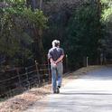 Art Shapiro, distinguished professor of evolution and ecology at UC Davis, walks along one of his study areas, Gates Canyon Road, Vacaville. This image was taken Jan. 25, 2014. (Photo by Kathy Keatley Garvey)