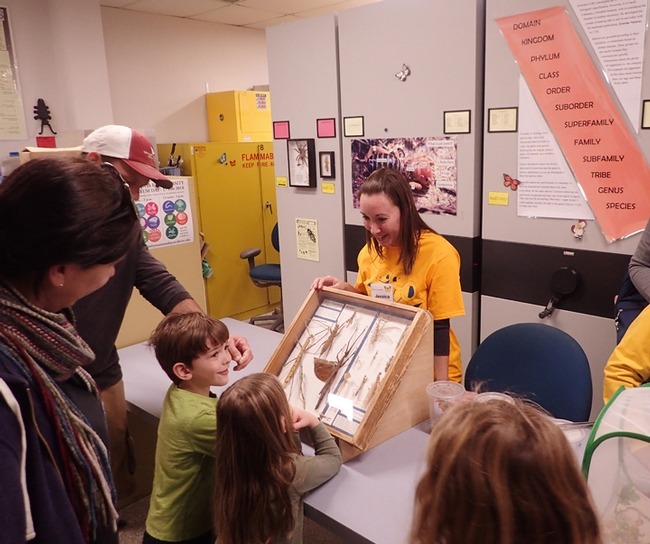UC Davis doctoral student Jessica Gillung interacts with visitors at a Bohart Museum of Entomology open house. (Photo by Kathy Keatley Garvey)