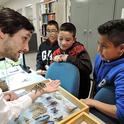 Bohart associate/entomology student Wade Spencer shows Coco McFluffin to Bohart Museum visitors. (Photo by Kathy Keatley Garvey)