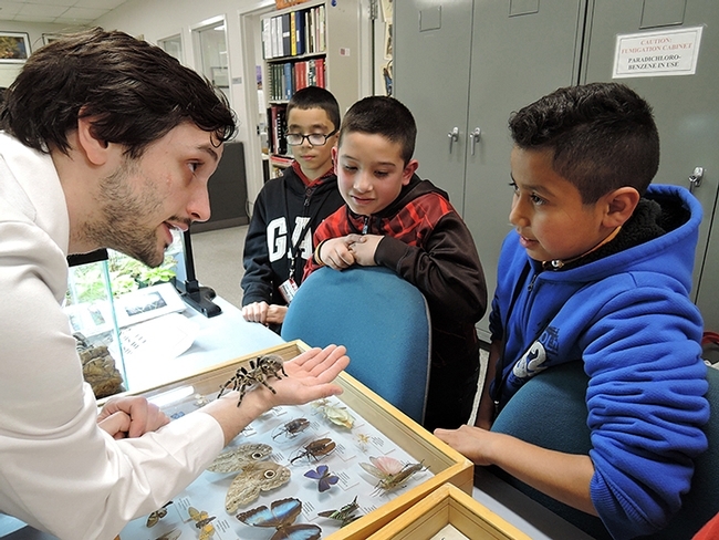 UC Davis entomology student and Bohart Museum associate Wade Spencer shows Coco McFluffin to students touring the Bohart Museum. (Photo by Kathy Keatley Garvey)