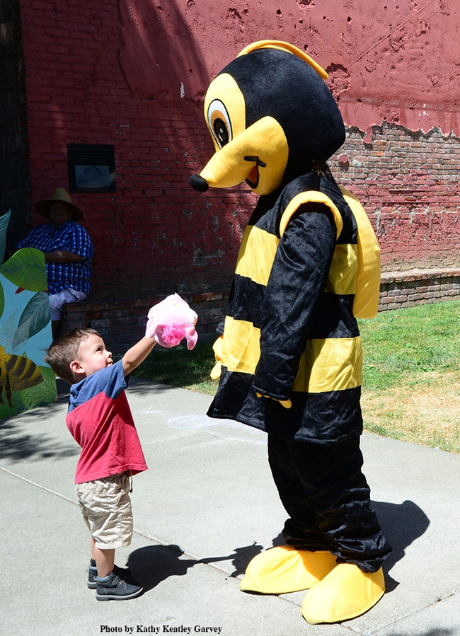 See my little buddy, Porky? This a meeting between a boy, his pig, and a towering bee. (Photo Kathy Keatley Garvey)