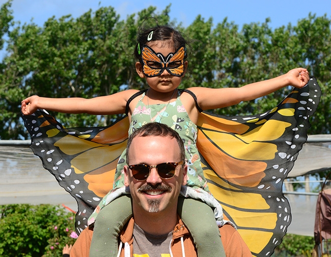 A monarch for a day! Pollinator Posse member, Seth Newton Patel of Oakland and his 4-year-old daughter Saathiya Patel, 4, helped out at the third annual Butterfly Summit.  (Photo by Kathy Keatley Garvey)