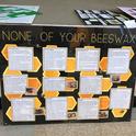 Dixon 4-H'er Ryan Anenson of the Tremont 4-H Club created this award-winning educational display, 