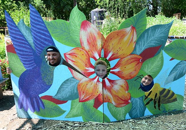 UC Davis employee David Hernandez (left) with sons Aayden, 10 (center) and Evan, 8, pose behind the pollinator cut-out board. (Photo by Kathy Keatley Garvey)