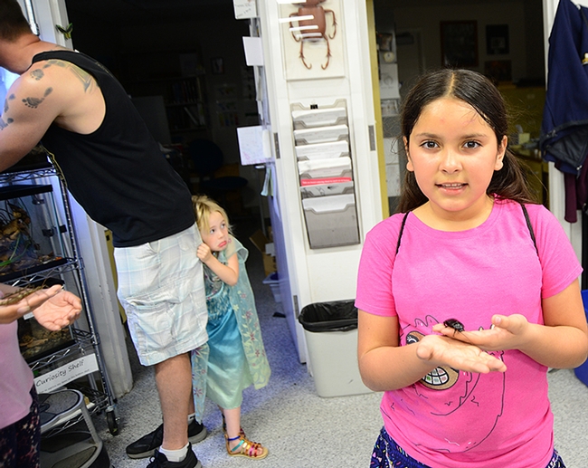 Camellia Aranda (foreground) likes a Madagascar hissing cockroach. In the background, Julianna “Ju Ju” Smith, 4, isn't so sure, as she hides behind the  her father, Justin Smith of Animal Science. (Photo by Kathy Keatley Garvey)