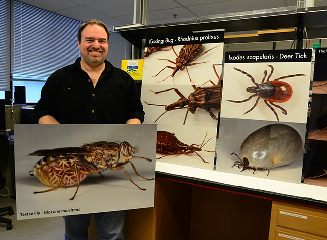 Medical entomologist Geoffrey Attardo with some of his images he displayed at the UC Davis Picnic Day. (Photo by Kathy Keatley Garvey)
