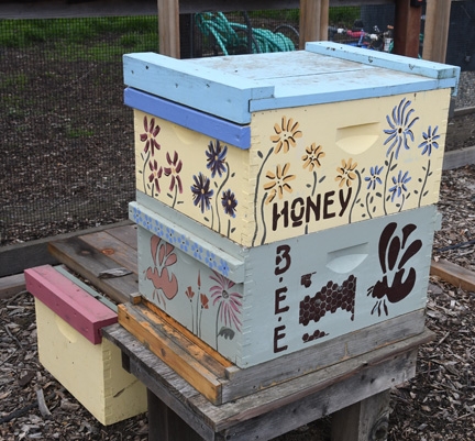 Beekeepers will open the hive at the Häagen-Dazs Honey Bee Haven at 11:45 a.m. every  Monday, Wednesday, and Friday. (Photo by Kathy Keatley Garvey)