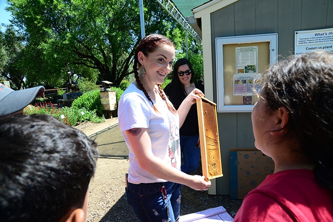 Volunteer Robin Lowry, who managed the “Planting for Pollinators” and “Be a Beekeeper” station, displays a frame. (Photo by Kathy Keatley Garvey)