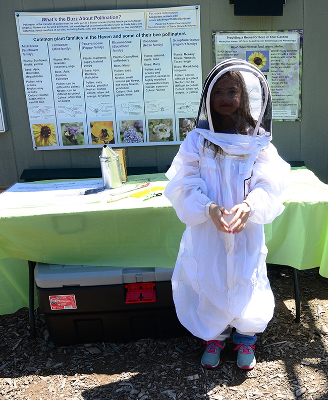 A little beekeeper shapes a heart. Students took turns trying on the beekeeper protective suits. (Photo by Kathy Keatley Garvey)