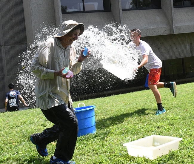 Undergraduate biological sciences major Andrew Kisin of the Aldrin Gomes lab, UC Davis Department of Neurbiology, PHysiology and Behavior, tosses a container of water at Bruce Hammock, UC Davis distinguished professor. (Photo by Kathy Keatley Garvey)