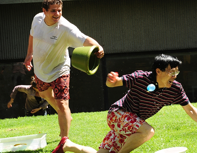 In this 2012 photo, Hammock lab researcher Christophe Morisseau chases a fellow water warrior, postdoctoral scholar Pingxi Xu of the Walter Leal lab. (Photo by Kathy Keatley Garvey)