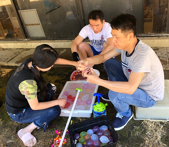 Filling water balloons for the Bruce Hammock Lab Water Balloon Battle are (from left) Yuan Ding, visiting graduate student; Dongyang Li, assistant project scientist; and Deguang Liu, visiting scholar. (Photo by Kathy Keatley Garvey)
