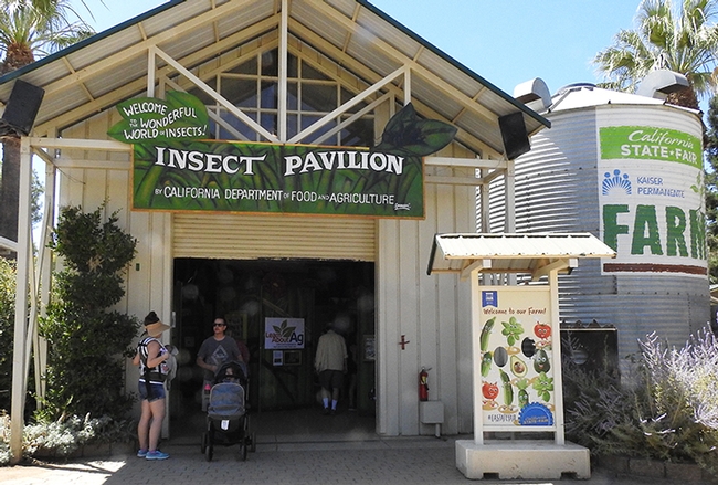 The California State Fair's Insect Pavilion is home to multiple displays borrowed from the Bohart Museum of Entomology, UC Davis. (Photo by Kathy Keatley Garvey)