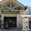 The California State Fair's Insect Pavilion is home to multiple displays borrowed from the Bohart Museum of Entomology, UC Davis. (Photo by Kathy Keatley Garvey)